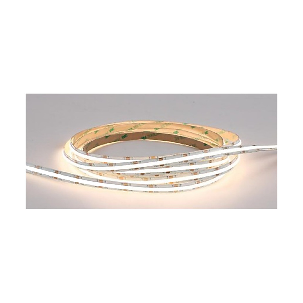 FUJI CCT COB LED traka 24 V 10 m